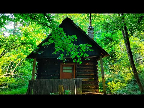 Sierpniowa wędrówka z Huty Polańskiej na szczyt Baranie i na Słowację, Beskid Niski.