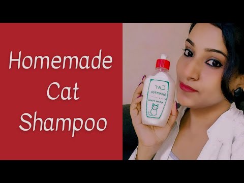 Homemade cat shampoo / Tamil #cat #shampoo @homemade