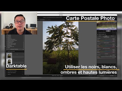 Utiliser les noirs, blancs, ombres, hautes lumières dans Darktable