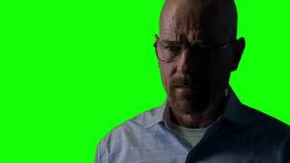 Walter White "we? who's we? there is no we" Breaking Bad green screen