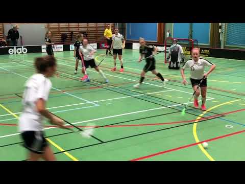 Highlights Åstorp/Kvidinge IBS Damallsvenskan - Linköping ungdom 5-4
