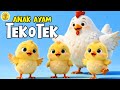 Tek Kotek Anak Ayam Lagu Anak Anak Lagu Anak Balita Paling Viral Sepanjang Masa