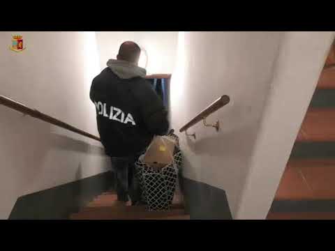 Traffico internazionale di stupefacenti, l'operazione della Mobile di Firenze