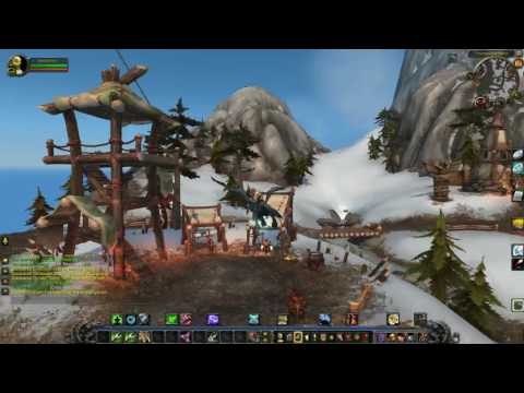 WoW Ironman - Level 110 Petless Hunter