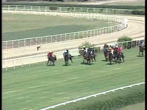 Németh Ferenc EK II. futam HP 1600m