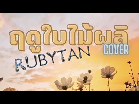 RubyTan - ฤดูใบไม้ผลิก COVER | ORIGINAL BY CLIFFER ft.Goofy