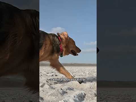 Los Menucos 🇦🇷 Capital Nacional de la Piedra Laja