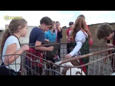 SW4D "De Kidsroute" - Aflevering 3 (2014)