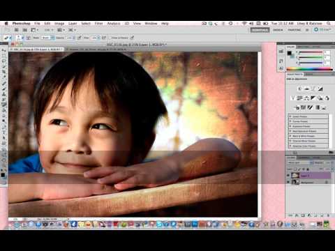 RE: Gavilan y textura