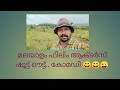 Film Actor S Shootout