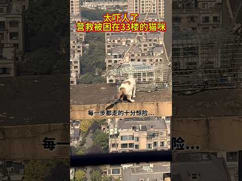 太吓人了，营救被困在33楼的猫咪#抖音 #令人惊叹 #funny #台湾 #香港 #新加坡 #美国 #马来西亚 #加拿大