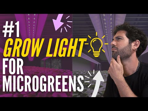 Best Grow Lights for Microgreens in 2026 (Tested & Ranked)