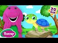 Meet The Little Turtle Animals And Pets For Kids More Barney Songs And Nursery Rhymes