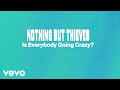 Nothing But Thieves - Is Everybody Going Crazy? (Lyric Video)