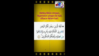 Download lagu Doa memancing ikan, memanggil ikan, @rusligunawanchannel73 mp3