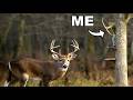 I Hunted Deer With A Homemade Bow
