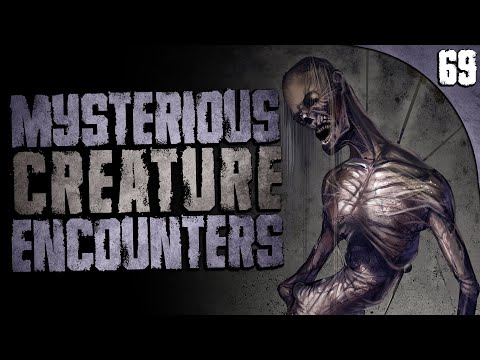 69 DISTURBING & Mysterious Creature Sightings (Compilation)