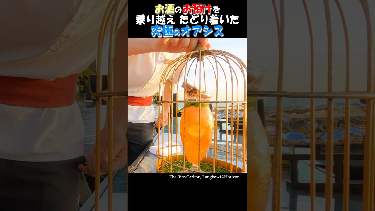 LCCの過酷な移動と「お酒お預け」の悲劇を乗り越え、ついにたどり着いた究極のオアシス🌴✨ #shorts #vlog