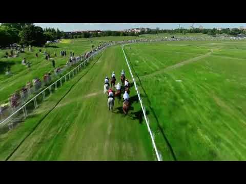 SHEIKH ZAYED BIN SULTAN AL NAHYAN CUP - LISTED - GARDET RACECOURSE - 06/06/2023