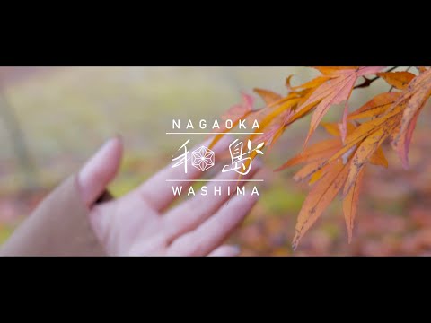 長岡市「和島」観光PR動画　～そのぬくもりにあいに行く。～