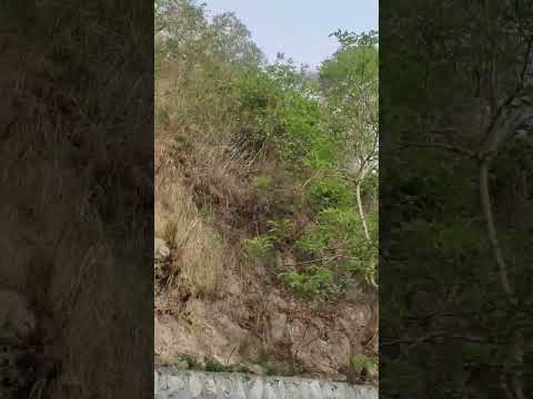 #shortsindia #haridwarlivevideo #viarlsong #trendong #viewers #shortsbeta #viarlflipvideo #shorts_