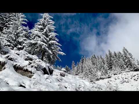 Winter in Fundata - Iarna la Fundata