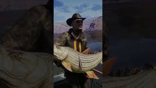 Catching Mamlambo! The MASSIVE LEGENDARY Tigerfish! #theangler #cotwtheangler #fishinggames