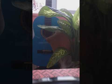 RUVEYDA ...HD - Sende Sende Sende #Yavuzbülentbakiler#