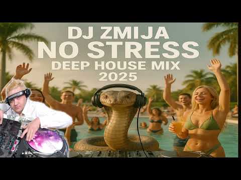 DJ ZMIJA - No Stress Deep House Mix 2025