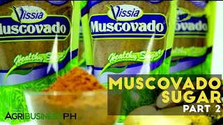 How to extract sugar cane : Muscovado sugar Part 2 #Agriculture