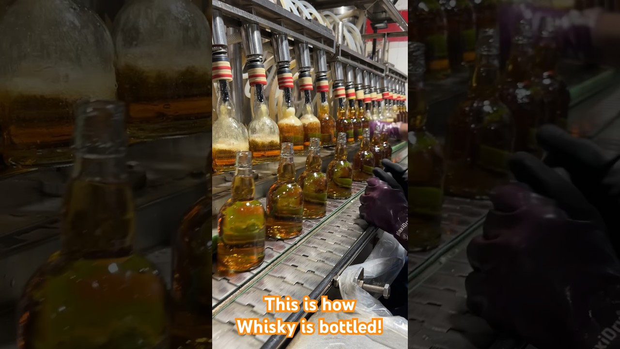 Whisky Bottling - one of the largest selling Indian whisky getting bottled at the distillery!