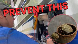 RV Repairs Gone Wild: Broken Steps & Bugs in the Water Heater!
