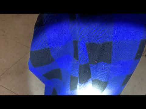 Bed Bugs Watching Some TV in Plainsboro, NJ