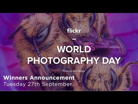 SmugMug Live Special - Flickr World Photography Day Contest Winners