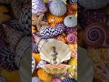 SATISFYING COLORFUL SEASHELLS COLLECTIONS 🐚 #asmr #seashells #satisfying #trending #shorts