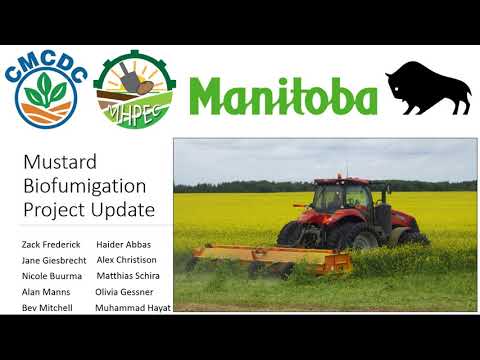 Mustard Biofumigation Project