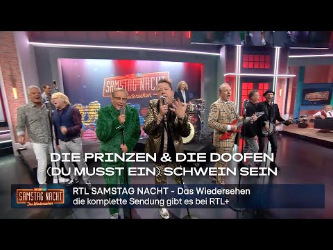 Die Prinzen & Die Doofen - (Du musst ein) Schwein sein // RTL Samstag Nacht - Das Wiedersehen