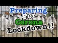 Last workout before corona lockdown !!