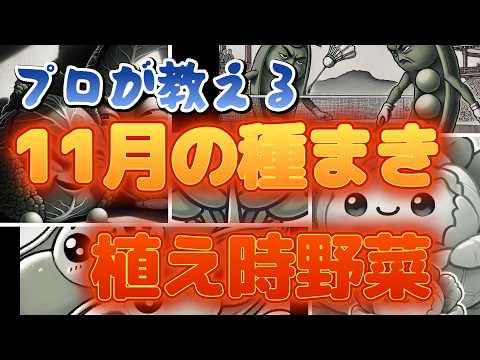  9月に蒔く種は何でしょうか？ 10種類の野菜と花が旬を迎えます！  庭園