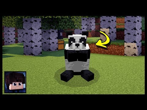 ✔ Minecraft PE: How To Spawn A Panda | No Mods Or Addon!