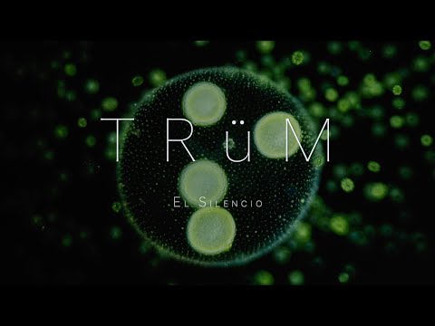TRüM - El Silencio  (Sub. Español/English)