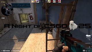 "Yo Matthew's Nuts Todayy": A Night of CSGO #25