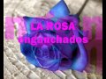 LA ROSA Temas Enganchados