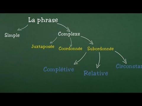 The simple sentence and the complex sentence (juxtaposed, subordinate/relative/complementary coor...