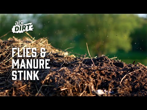 How to Minimize Flies and Manure Stink – ABI Dirt