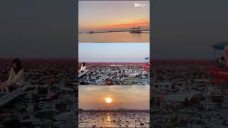 ウドンタニもおすすめだよ#タイ旅行 #バンコク在住 #海外旅行