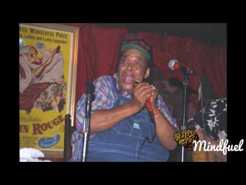 James Cotton Documentary