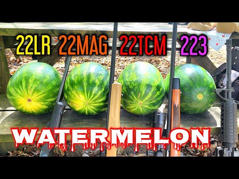 Watermelon VS .22LR .22MAGNUM .22TCM & .223 Remington