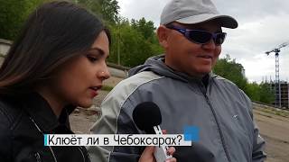 Что делают мужчины на рыбалки