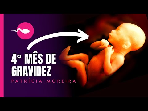 4 MONTHS OF PREGNANCY | Weeks 13, 14, 15, 16